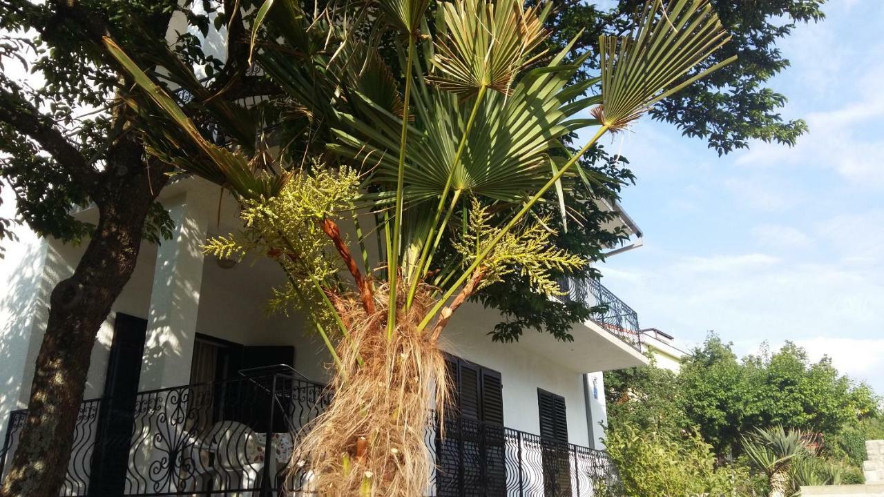 Apartman Ana คราลเยวีจา ภายนอก รูปภาพ